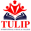 Tulip International School & College